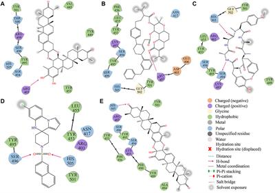 Identification of potential inhibitors of omicron variant of SARS-Cov-2 RBD based virtual screening, MD simulation, and DFT